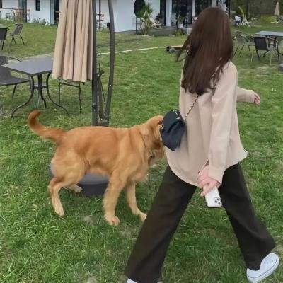 坚墙